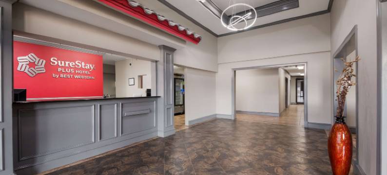 圣安东尼奥北贝斯特韦斯特SureStay Plus酒店(SureStay Plus Hotel by Best Western San Antonio North)图片