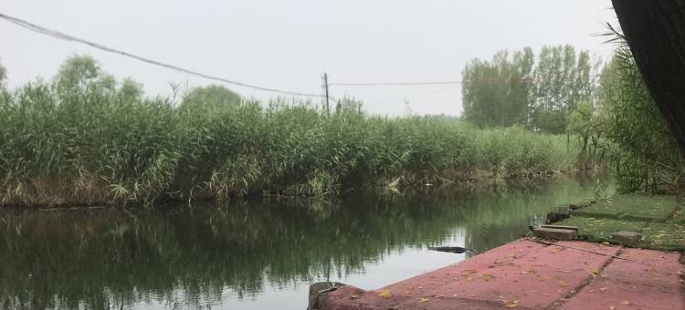 白洋淀玖荷民宿图片
