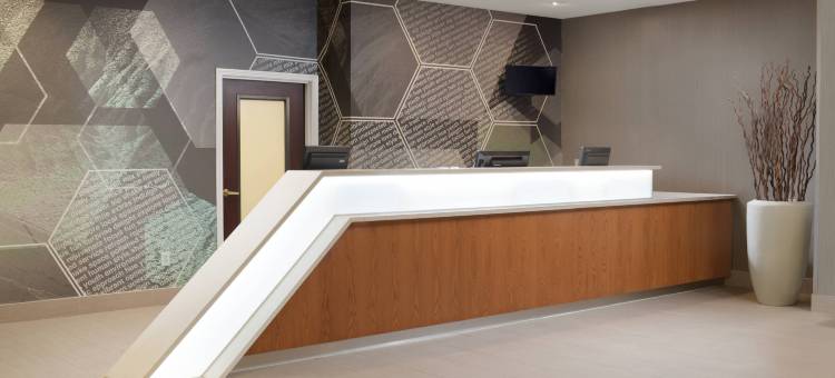 SpringHill Suites Dallas Addison/Quorum Drive图片