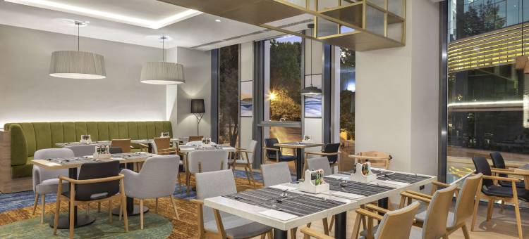 第比利斯河景希尔顿花园酒店(Hilton Garden Inn Tbilisi Riverview)图片