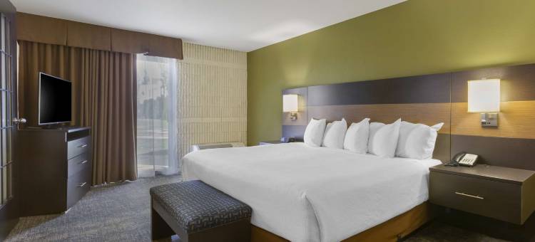大学贝斯特韦斯特优质酒店(Best Western Plus University Inn)图片