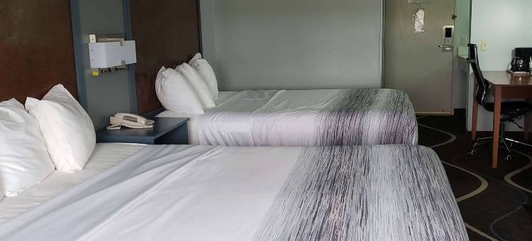 莫斯顿AmericInn酒店(AmericInn by Wyndham Mauston)图片