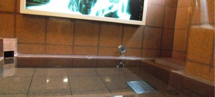 露樱酒店佐贺站前店(Hotel Route-Inn Saga Ekimae)图片