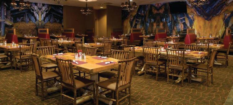 温德姆大烟山酒店(Club Wyndham Great Smokies Lodge)图片