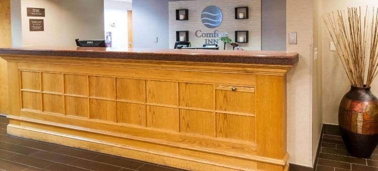 昆提科斯塔福德舒适酒店(Comfort Inn Quantico)图片