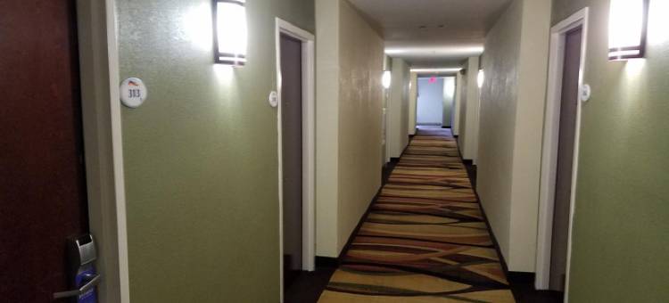 奥古斯塔格罗夫敦温德姆呗盟酒店(Baymont by Wyndham Grovetown Augusta)图片