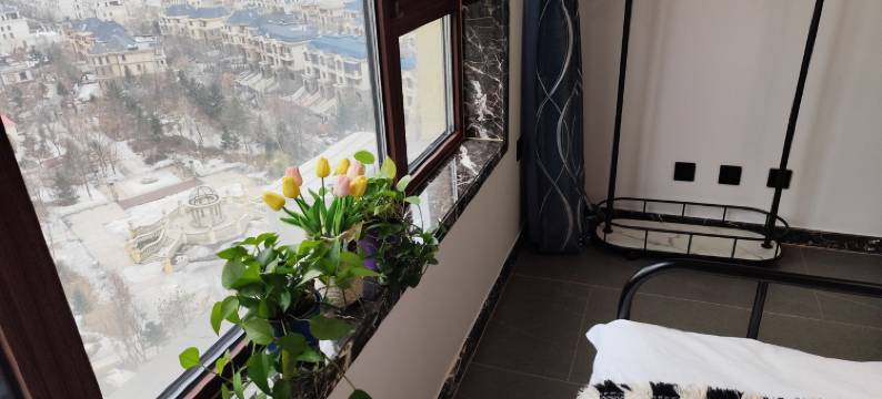 繁花公寓民宿(龙川路分店)图片