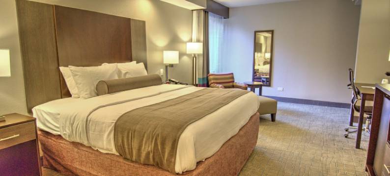 大雾山柯达贝斯特韦斯特酒店(Best Western Sevierville/Kodak Inn)图片