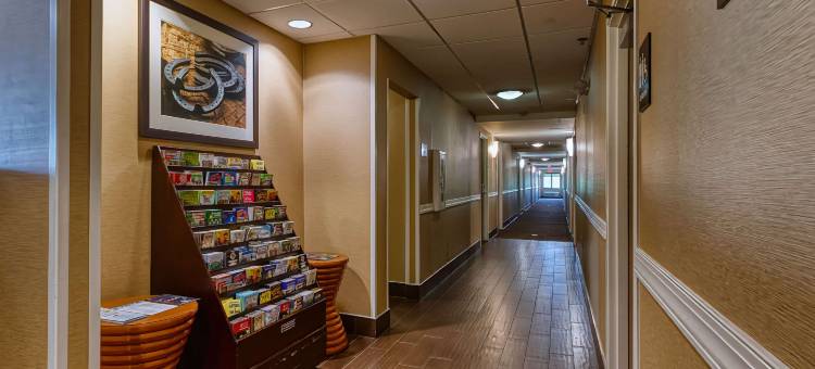 谢泼兹维尔舒适酒店-路易斯维尔南(Comfort Inn Shepherdsville - Louisville South)图片