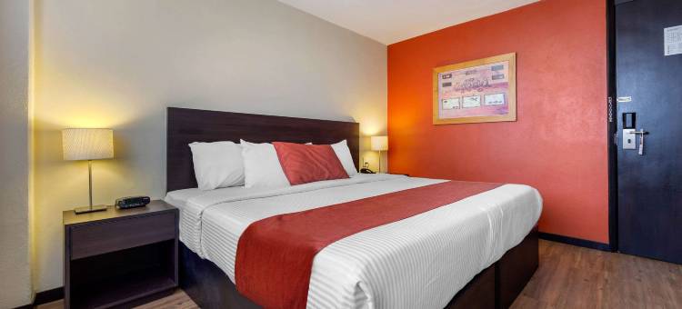 圣路易斯波托西舒适酒店(Comfort Inn San Luis Potosi)图片
