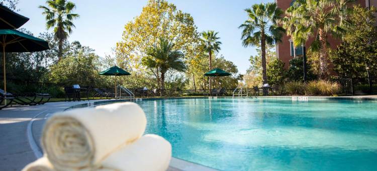 洛伊斯波托菲诺湾酒店(Loews Portofino Bay Hotel at Universal Orlando)图片