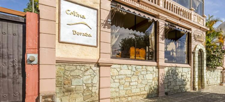 Capital O 金色山丘(Capital O Colina Dorada)图片