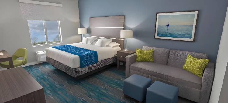 舒适酒店及套房阿德里安(Comfort Inn & Suites Adrian)图片