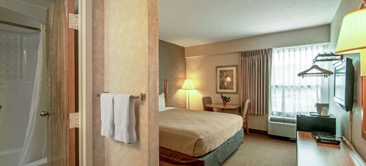 新城伊康旅馆(Econo Lodge Metro)图片