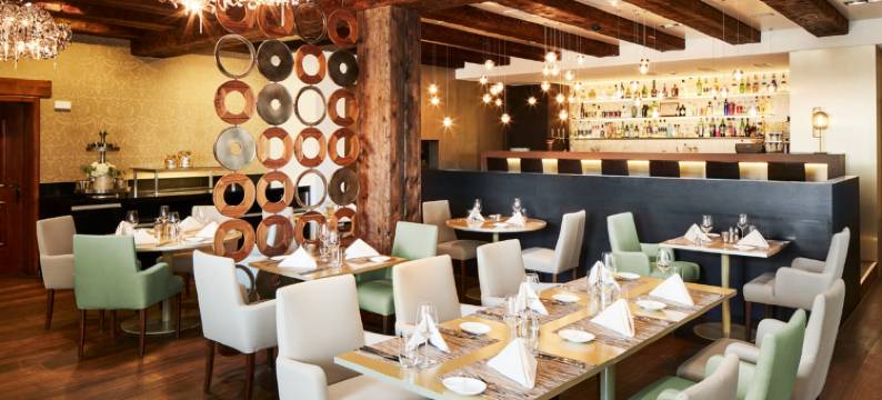 乌茨维尔酒店(Hotel Uzwil)图片