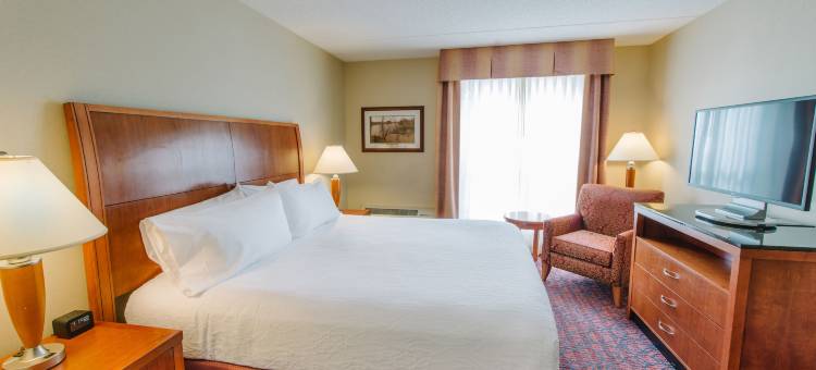 曼彻斯特市中心希尔顿花园酒店(Hilton Garden Inn Manchester Downtown)图片