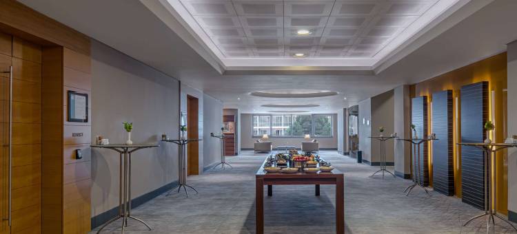 土耳其伊兹密尔比于克艾菲斯瑞士酒店(Swissotel Buyuk Efes Izmir)图片