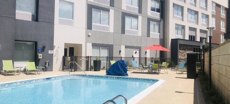 夏洛特北 I 485 希尔顿欢朋套房酒店(Hampton Inn & Suites by Hilton Charlotte North I 485)图片