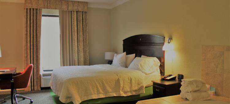 阿梅里克斯欢朋酒店(Hampton Inn Americus)图片