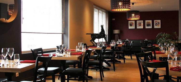 洛吉斯黑马酒店(Logis Hôtel le Cheval Noir)图片