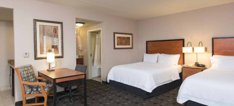 希尔顿欢朋套房酒店-印第安纳波利斯费希尔斯(Hampton Inn & Suites Indianapolis-Fishers)图片
