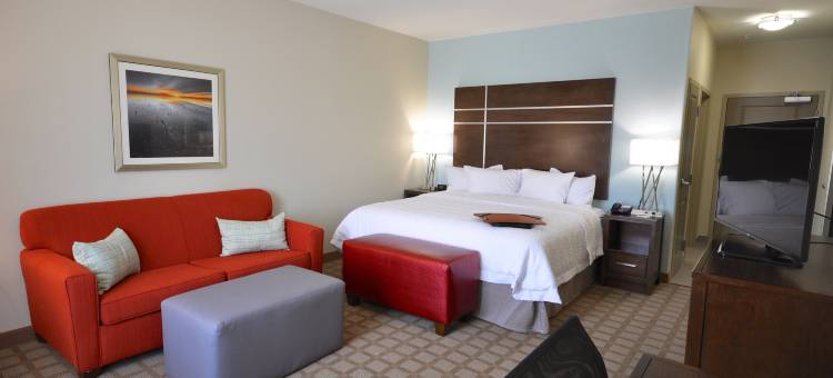 哈托欢朋酒店(Hampton Inn & Suites by Hilton Hutto Austin)图片
