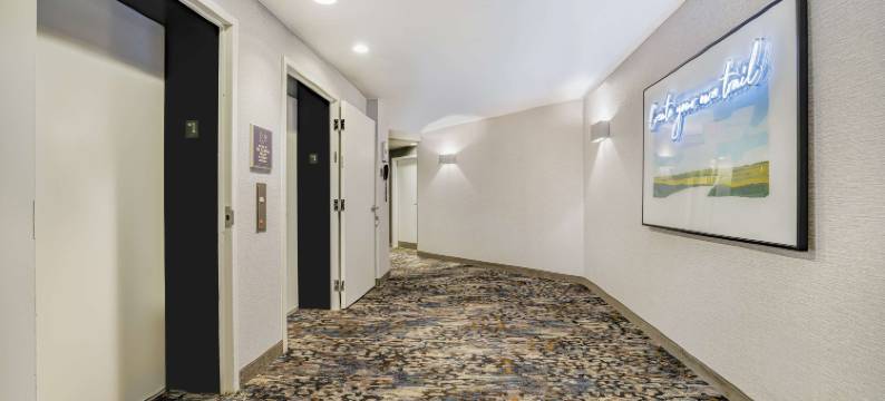 普莱诺理查森Homewood Suites by Hilton(Homewood Suites by Hilton Plano - Richardson)图片