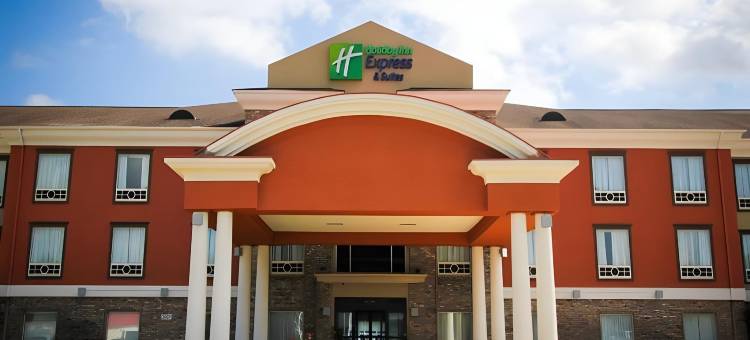 智选假日套房酒店纳科多奇斯(Holiday Inn Express & Suites Nacogdoches)图片