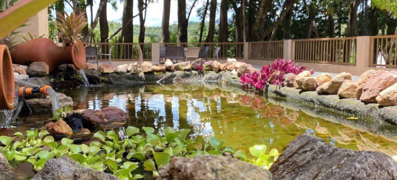 金字塔农场酒店(Hotel Fazenda Pirâmides)图片