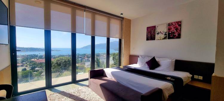 越南芽庄海边别墅Abogo(The Ocean Front Villa Nha Trang Abogo)图片