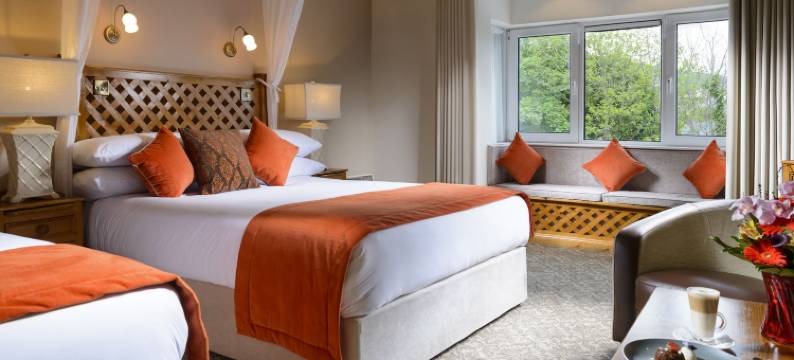 丁格尔贝纳尔斯酒店(Dingle Benners Hotel)图片