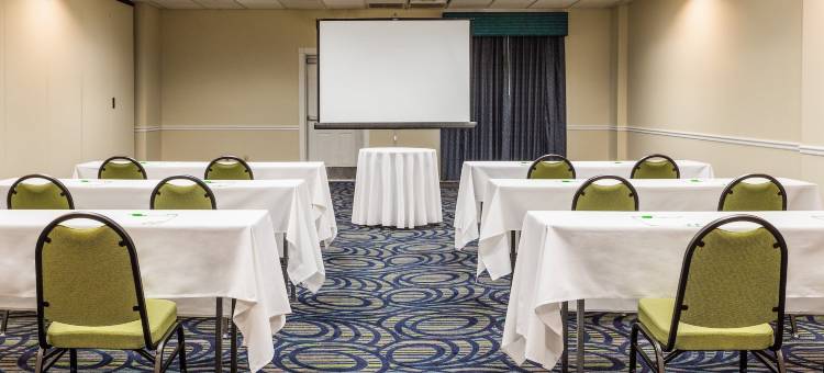 Holiday Inn & Suites 清水湾泳滩南(Holiday Inn & Suites Clearwater Beach S-Harbourside)图片