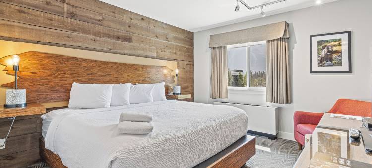 坎莫尔的 Basecamp Lodge(Basecamp Lodge Canmore)图片