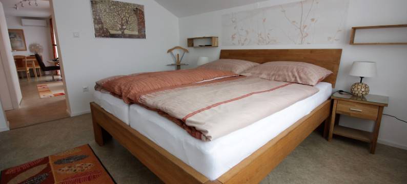 树木公寓酒店(Baum Apartments)图片