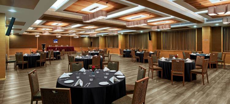 索姆纳特费恩住宅酒店(The Fern Residency Somnath)图片