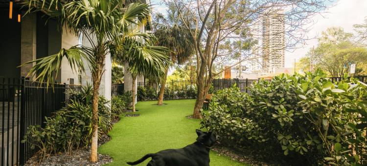 弗洛堡劳德代尔(Flow Fort Lauderdale)图片