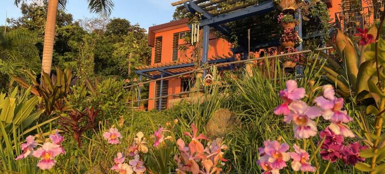 小小旅馆(El Pequeño Hotel)图片