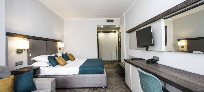 尊贵贝斯特韦斯特优质酒店(Best Western Plus Premium Inn)图片