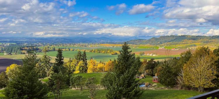 贝拉科里纳民宿(Bella Collina Bed and Breakfast)图片