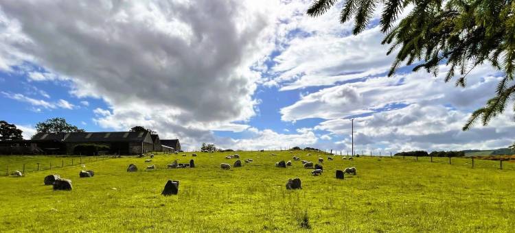 德弗伦河谷小屋(Deveron Valley Cottages)图片