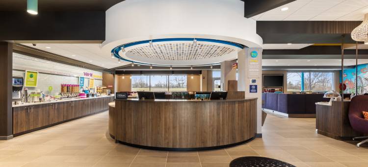 俄亥俄州沙伦维尔希尔顿Tru酒店(Tru by Hilton Sharonville Cincinnati)图片