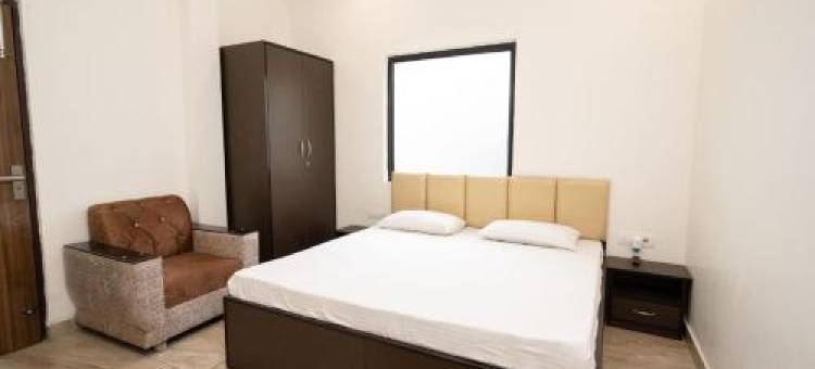 The White Solitaire图片