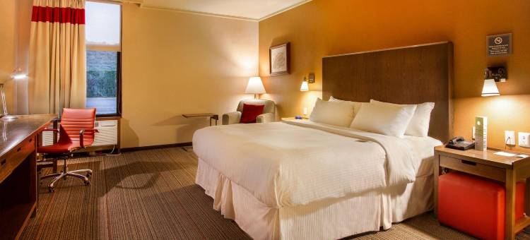 萨尔蒂洛福朋喜来登酒店(Four Points by Sheraton Saltillo)图片