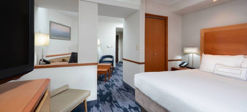 夏律第镇北部万枫酒店及套房(Fairfield Inn & Suites Charlottesville North)图片