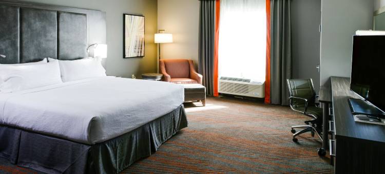 Holiday Inn 阿比林(Holiday Inn Abilene - North College Area)图片