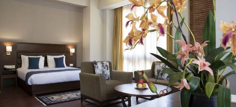 廷布城市酒店(CityHotel, Thimphu)图片