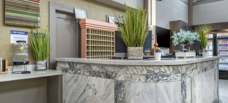 阿拉摩湖区史诗旅人贝斯特韦斯特精品酒店(Best Western Premier Historic Travelers Hotel Alamo/Riverwalk)图片