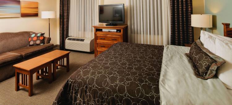 Staybridge Suites 达拉斯 - LAS科利纳斯区 by IHG(Staybridge Suites Irving Las Colinas by IHG)图片