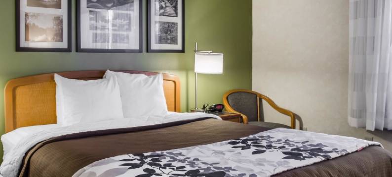 舒眠套房酒店(Sleep Inn & Suites)图片