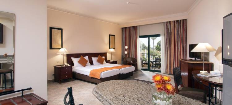 瑞士旅馆广场酒店(Swiss Inn Plaza Hotel)图片